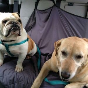 Meet your Posher, Steven